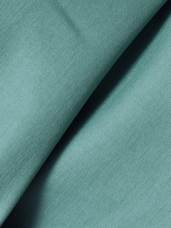 TONAL(トーナル) |パール釦スキッパーラグランブラウス